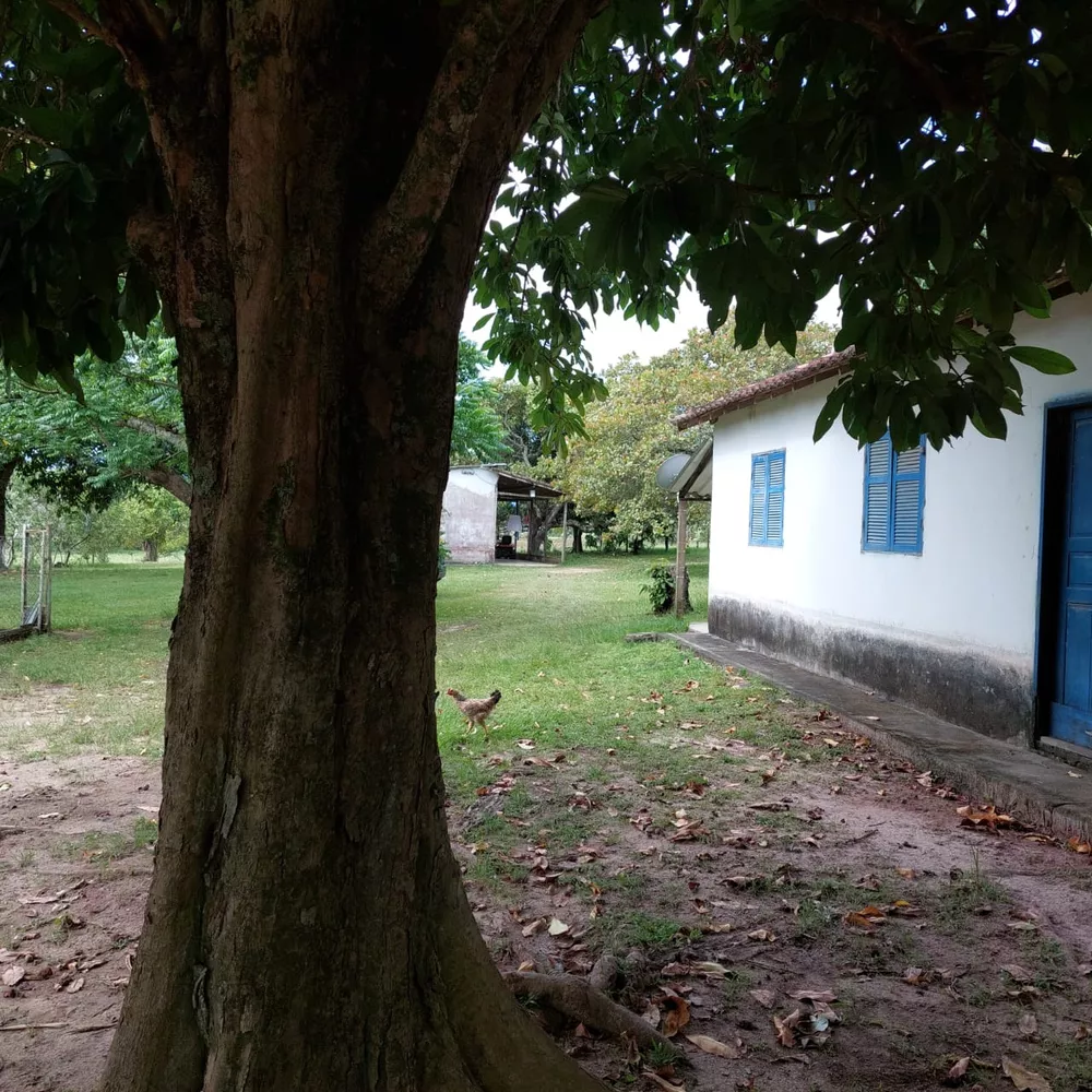 Fazenda-Sítio-Chácara, 10 quartos - Foto 62