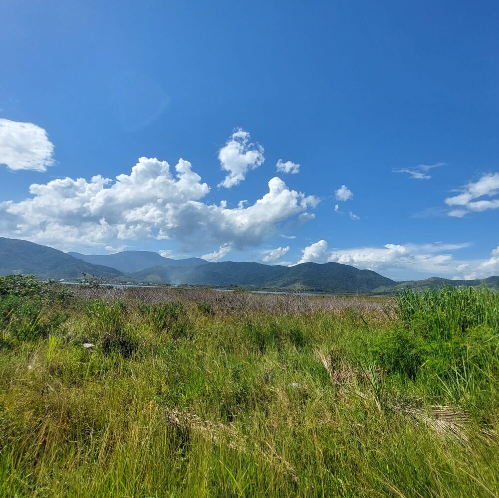 Terreno - Foto 6