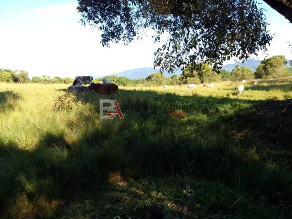 Fazenda, 3 quartos - Foto 2