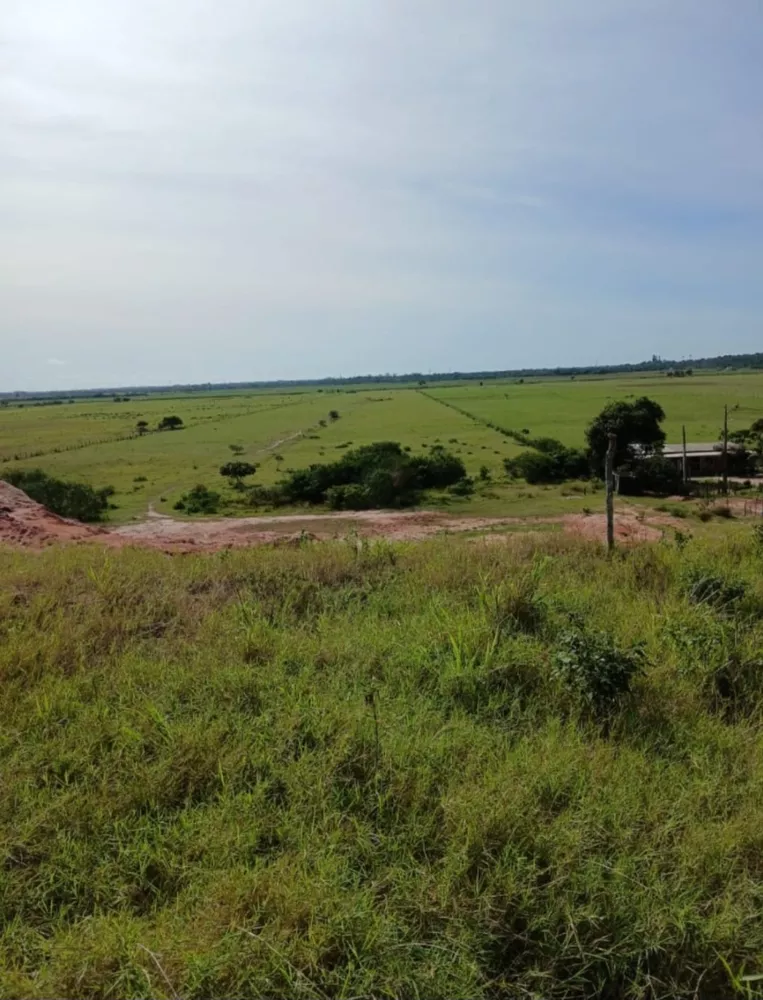 Fazenda - Foto 1