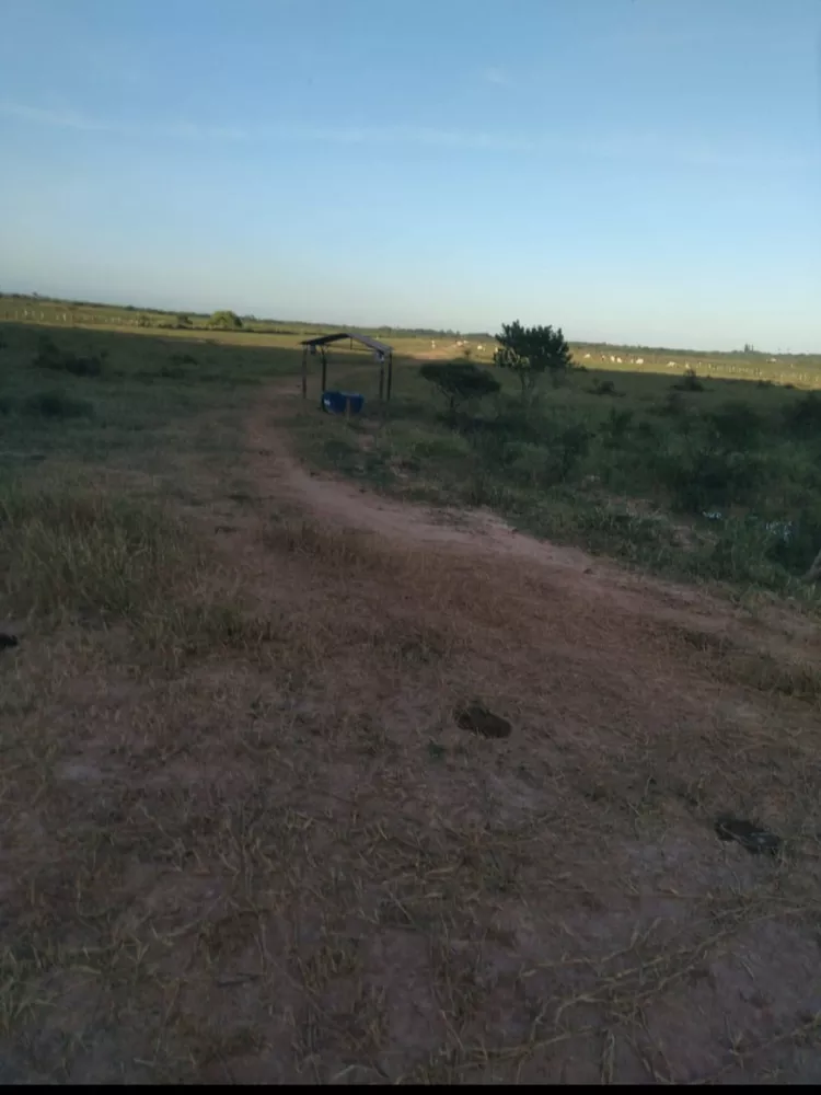 Fazenda - Foto 7
