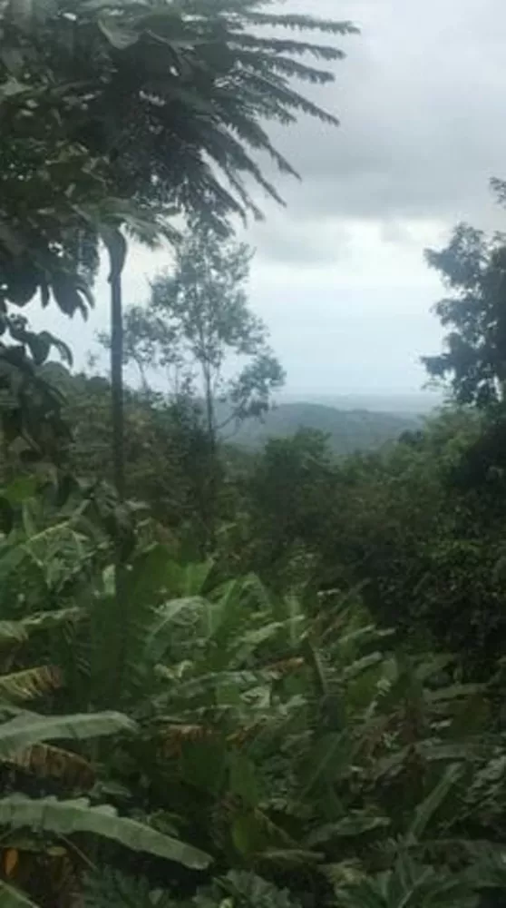 Sítio, 3 quartos - Foto 12