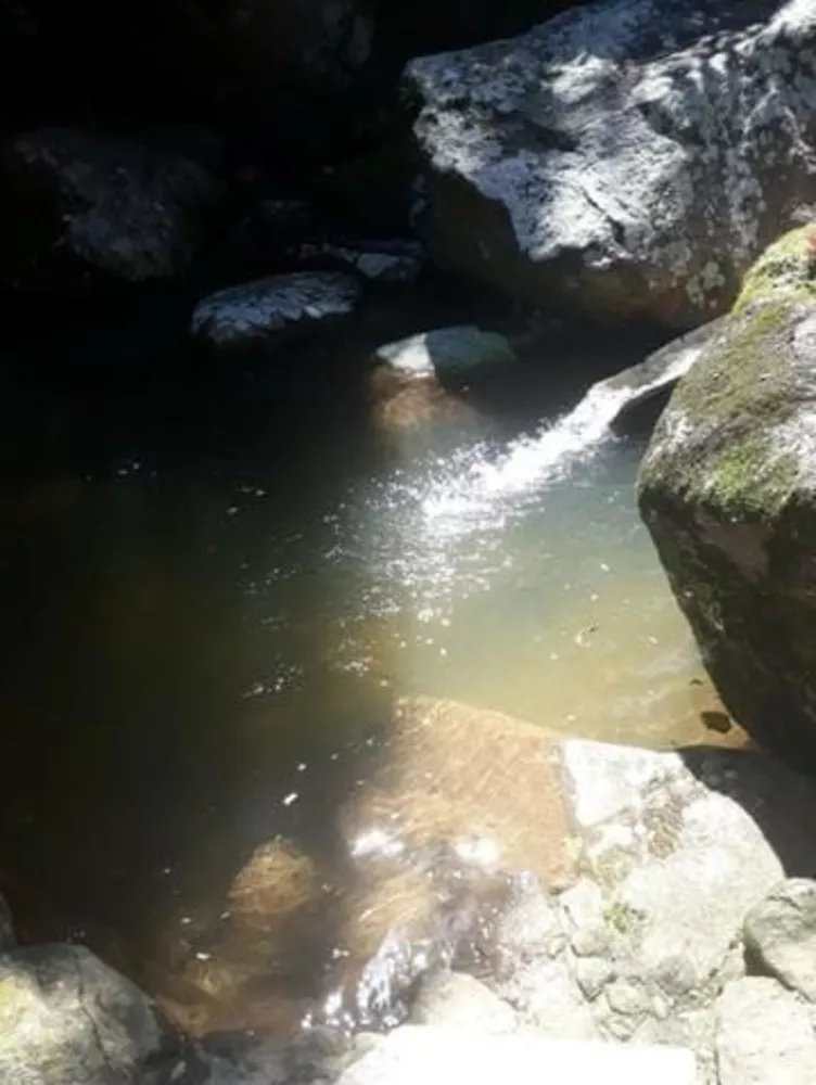 Sítio, 3 quartos - Foto 14