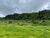 Terreno, 1100 m² - Foto 5