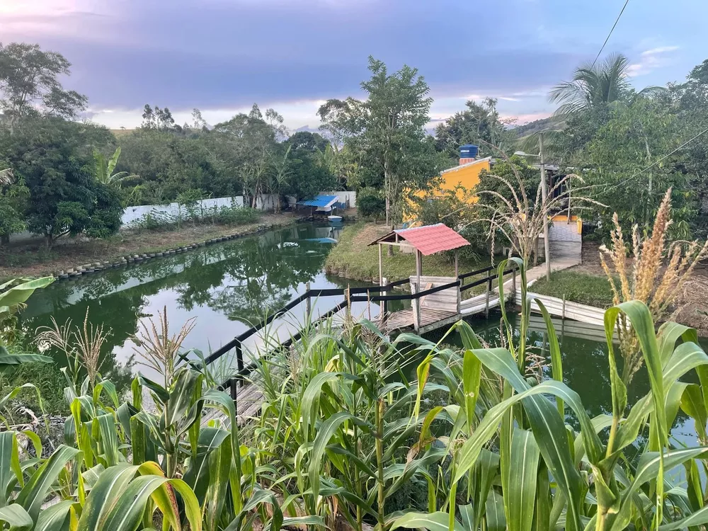 Sítio, 6 quartos - Foto 1