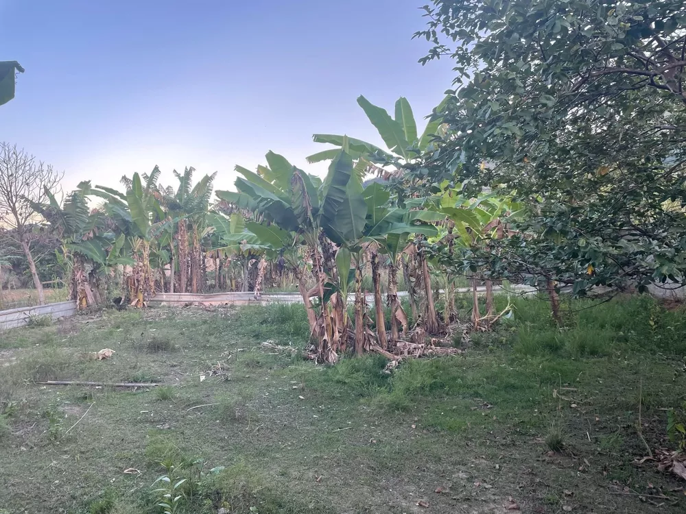 Sítio, 6 quartos - Foto 12