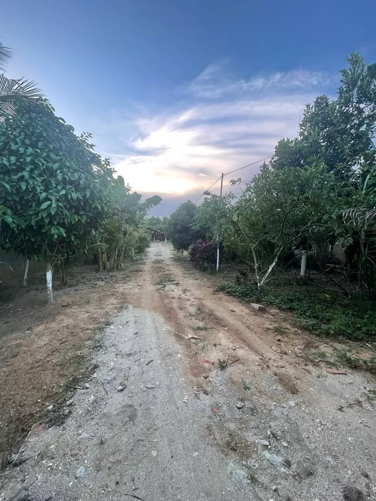 Sítio, 6 quartos - Foto 3