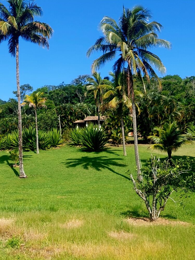 Sítio, 3 quartos - Foto 26