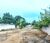 Terreno, 1050 m² - Foto 2