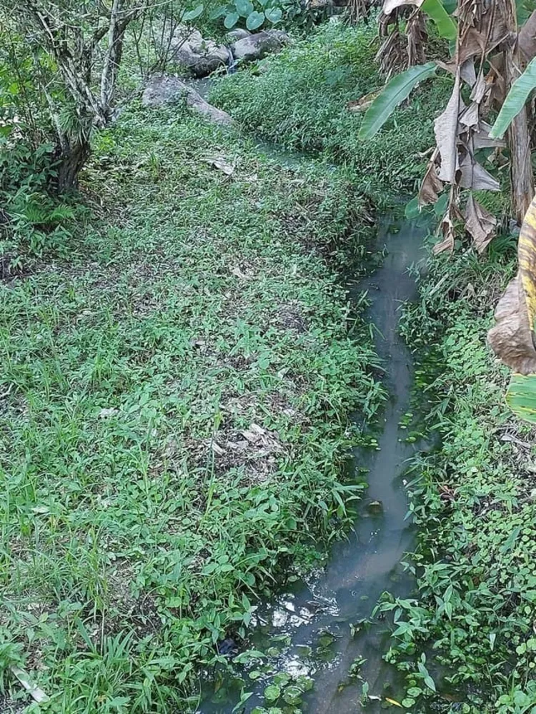 Sítio, 6 quartos - Foto 2