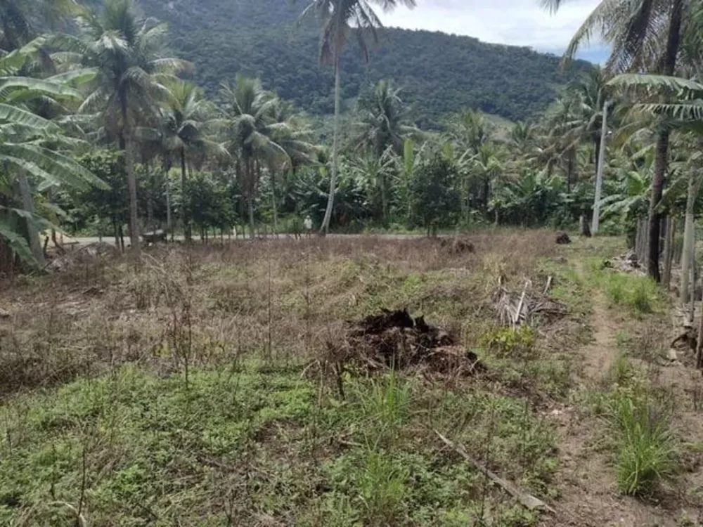 Terreno, 1000 m² - Foto 7