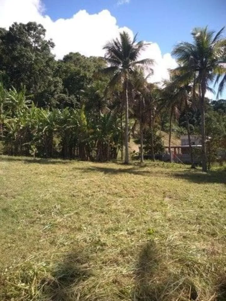 Terreno, 1000 m² - Foto 8