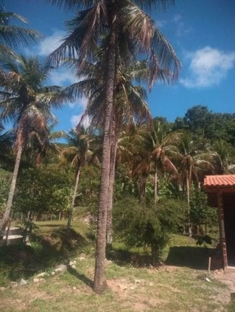 Terreno, 1000 m² - Foto 9