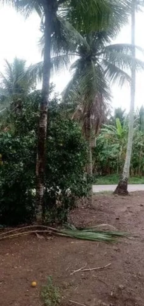 Terreno, 1000 m² - Foto 3