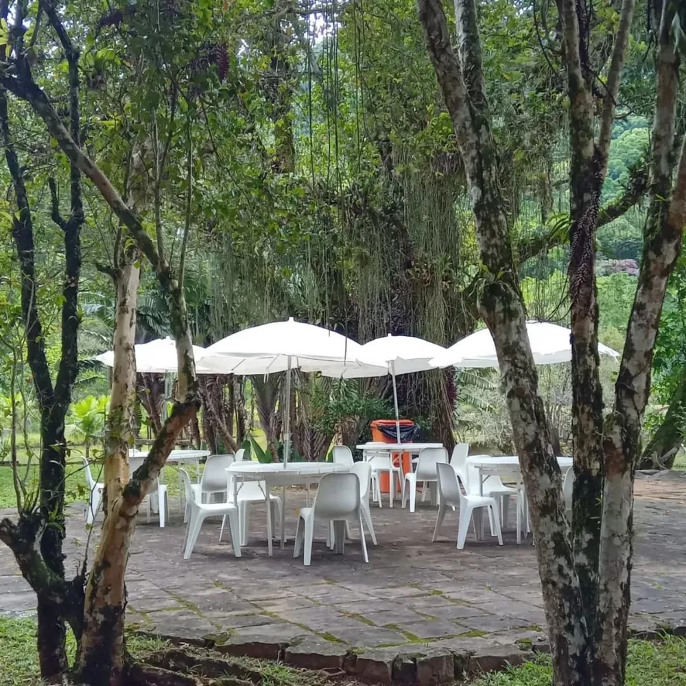 Fazenda, 4 quartos - Foto 23