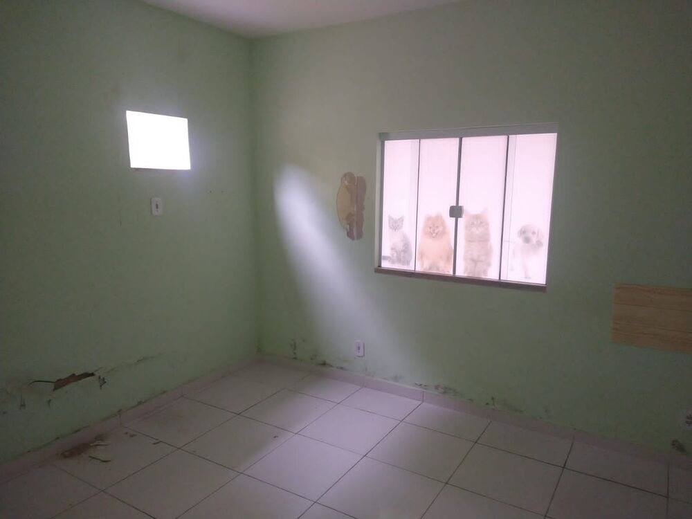 Casa, 5 quartos - Foto 14