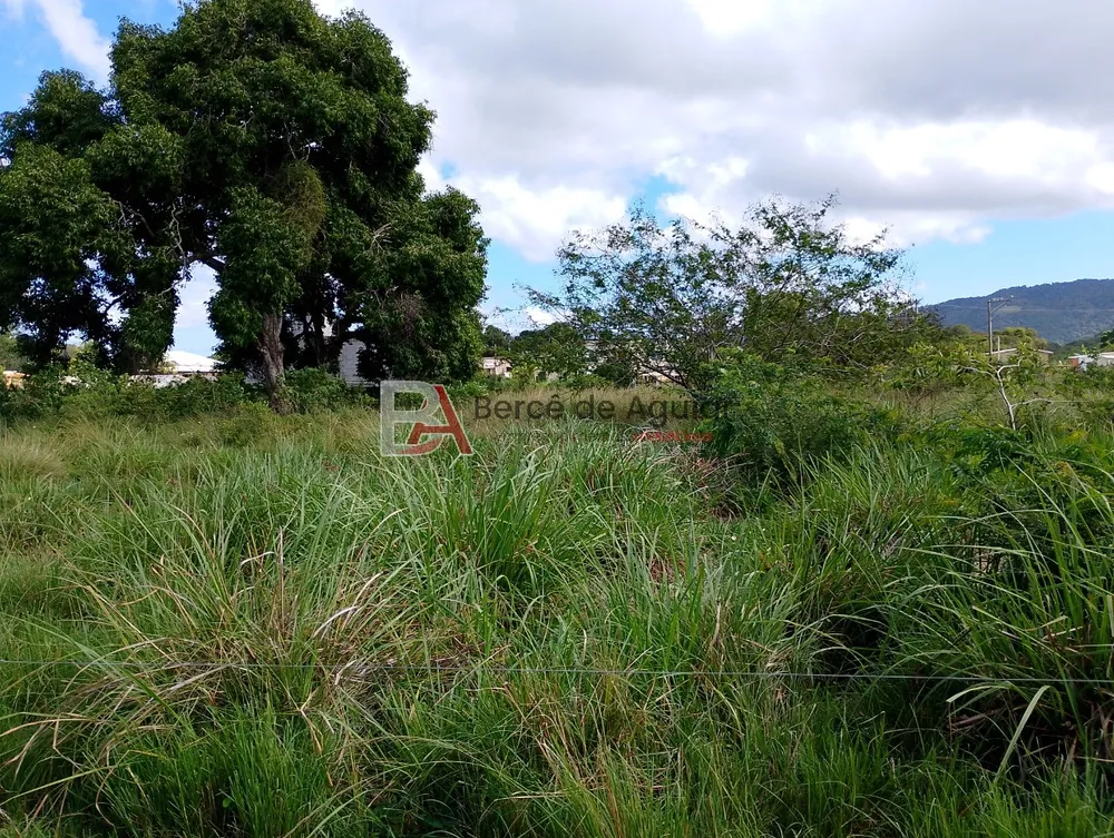 Terreno, 1200 m² - Foto 6