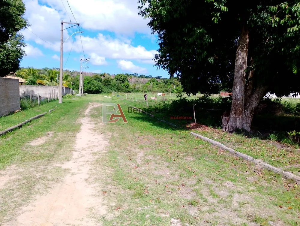 Terreno, 1200 m² - Foto 5