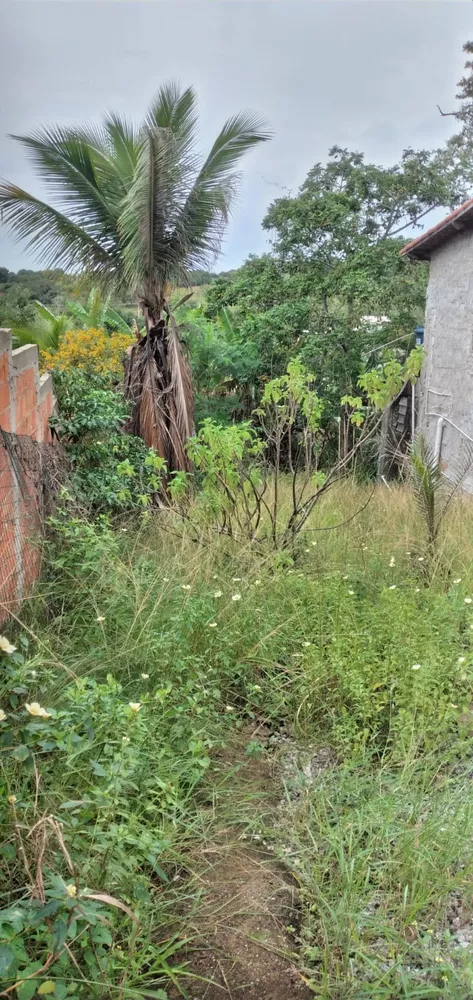 Chácara, 3 quartos - Foto 11