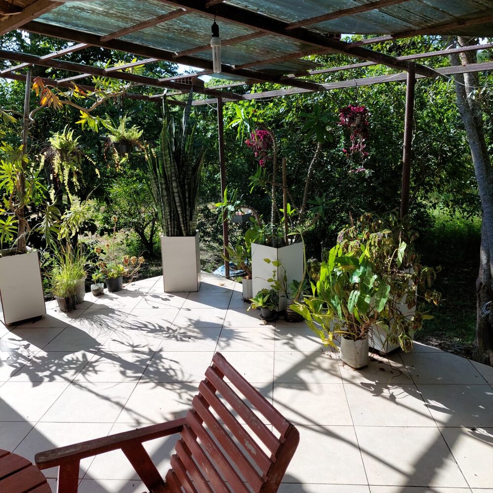 Sítio à venda com 6 quartos - Foto 5