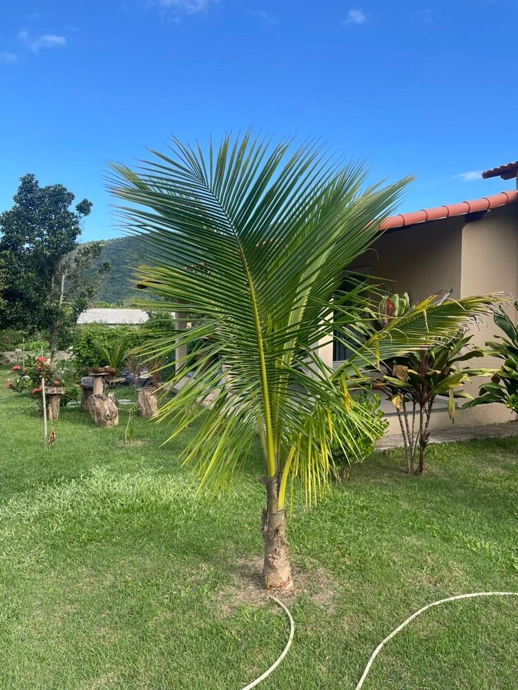 Casa à venda com 2 quartos - Foto 5