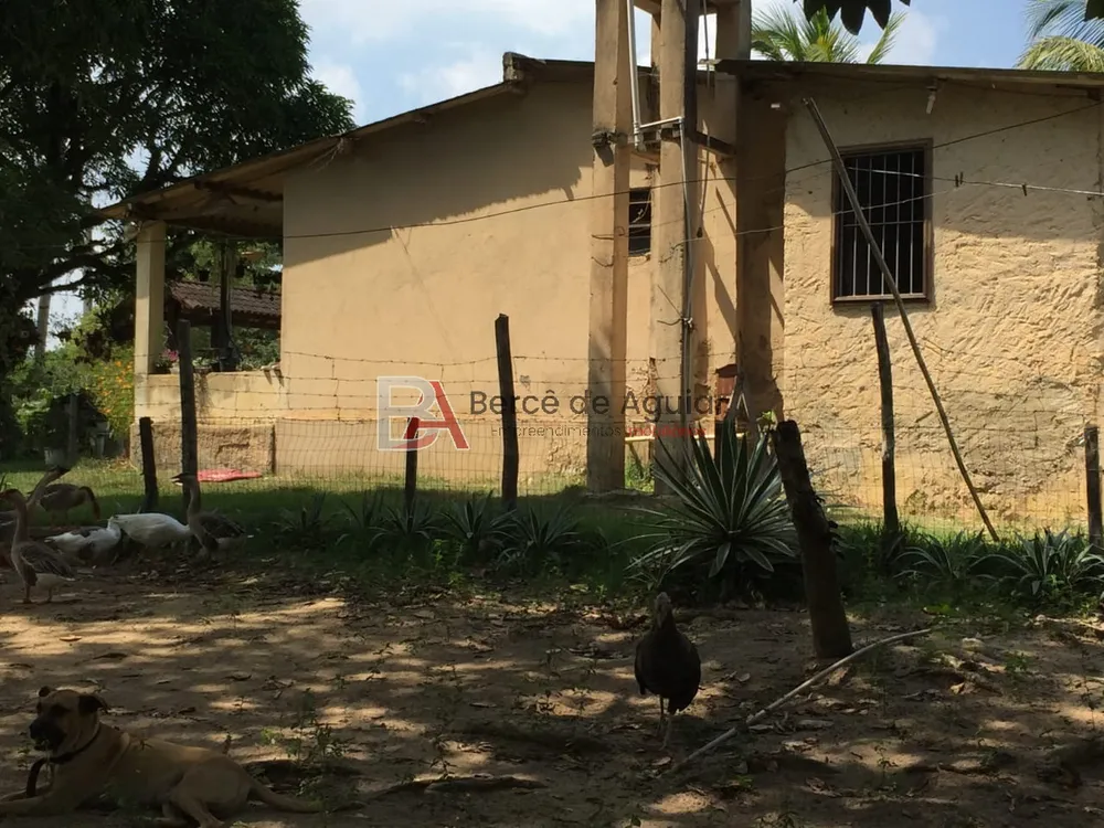 Sítio, 3 quartos, 37000 m² - Foto 30