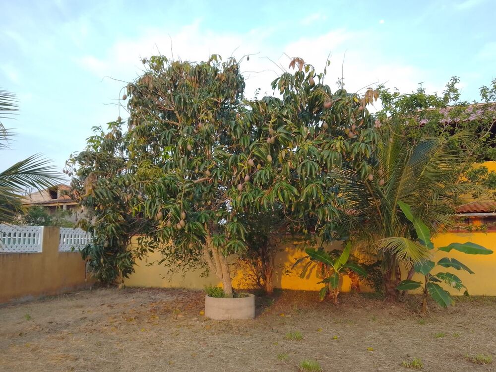 Casa, 2 quartos - Foto 5