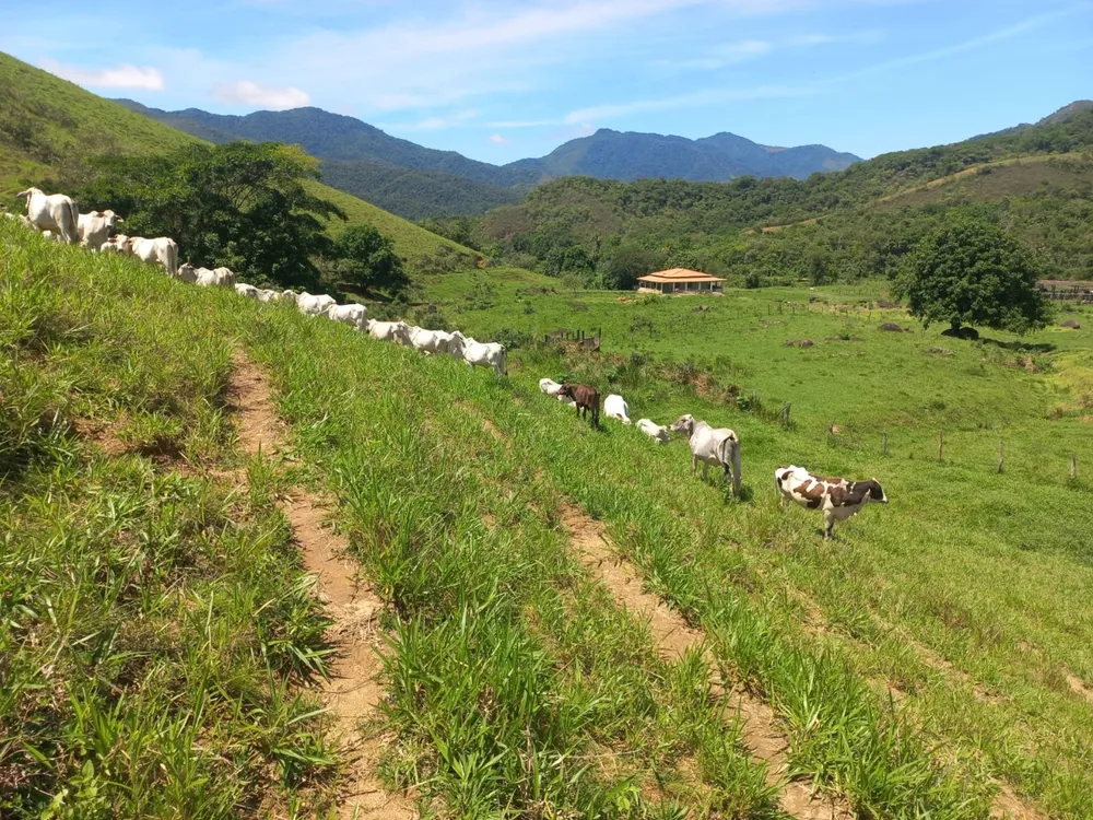 Fazenda, 3 quartos - Foto 5