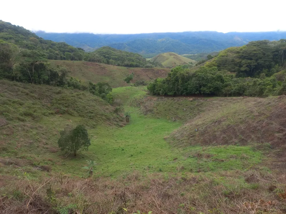 Fazenda, 3 quartos - Foto 4