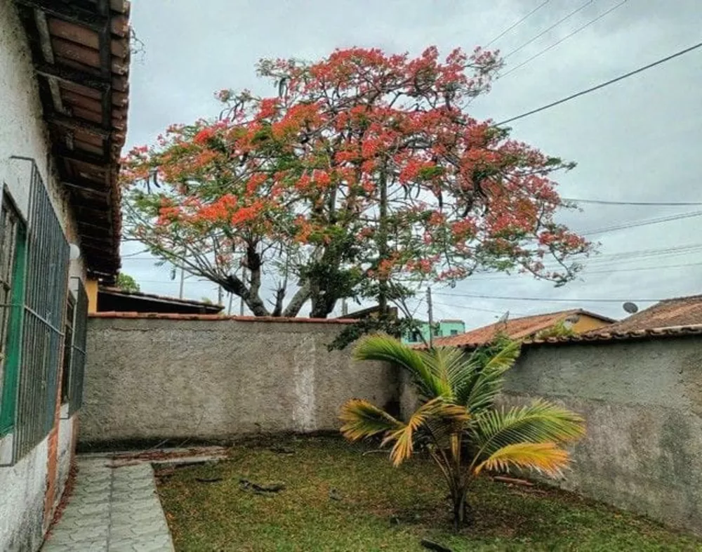 Casa, 3 quartos - Foto 13