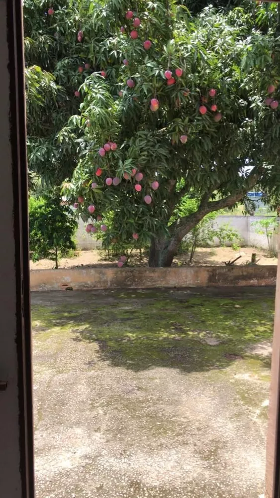 Casa, 2 quartos - Foto 15