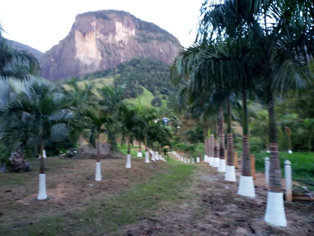 Sítio, 5 quartos - Foto 4