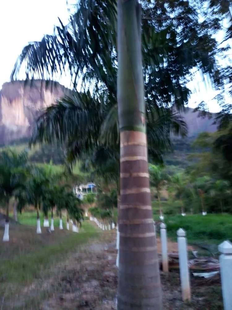 Sítio, 5 quartos - Foto 7