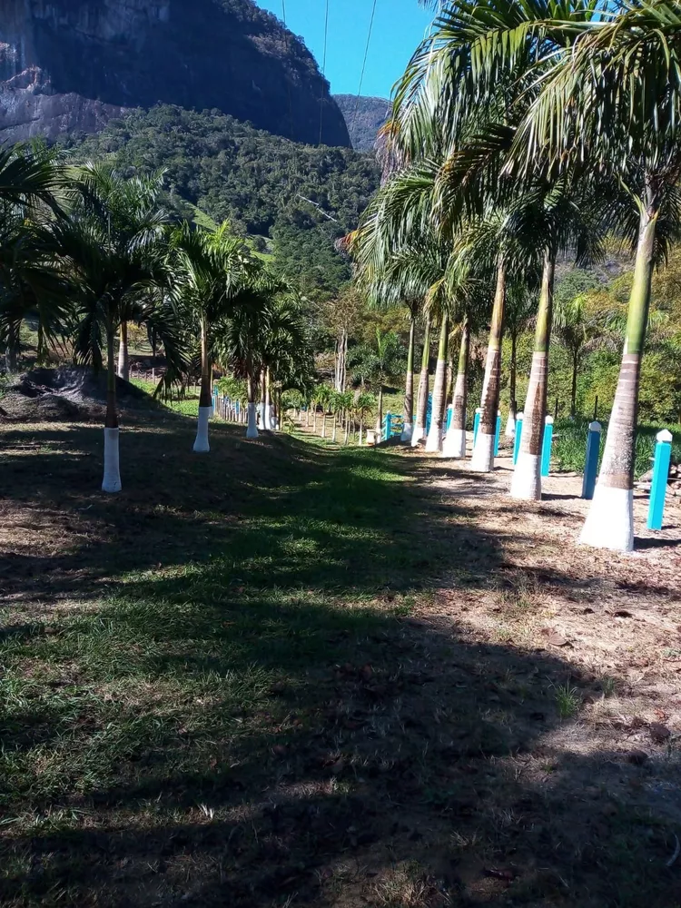 Sítio, 5 quartos - Foto 6