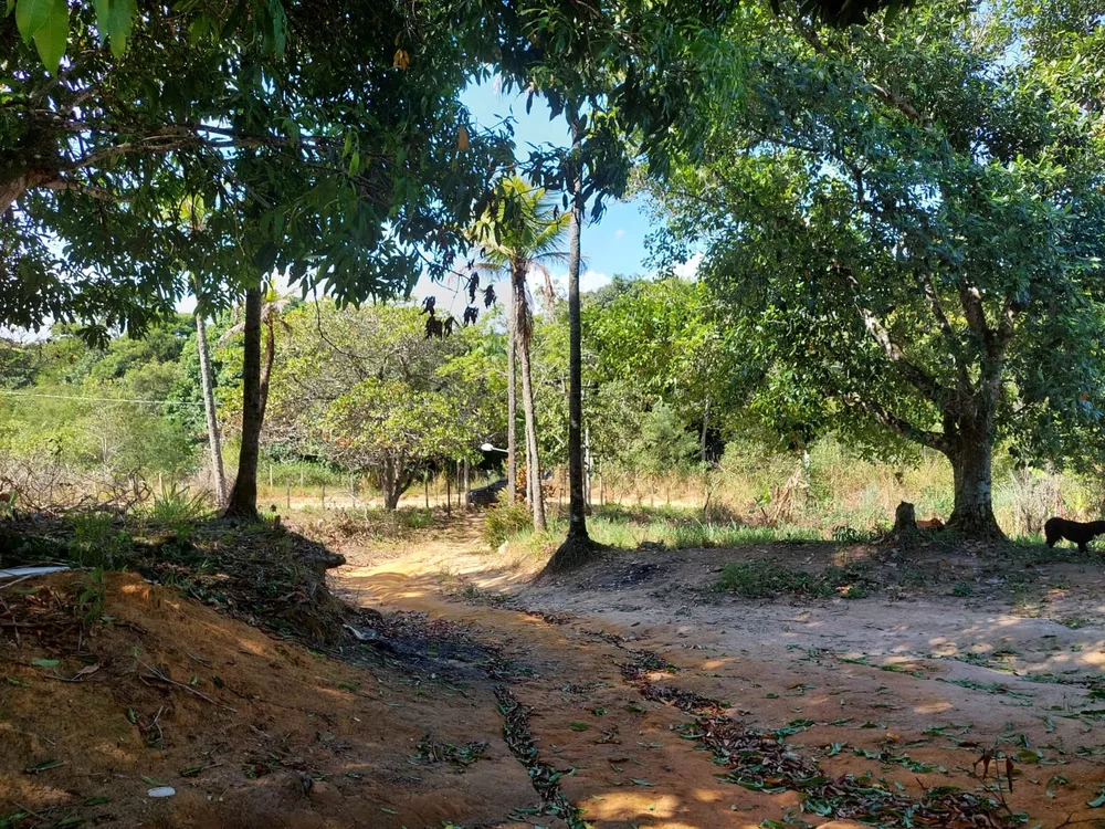 Sítio, 3 quartos, 1 m² - Foto 26