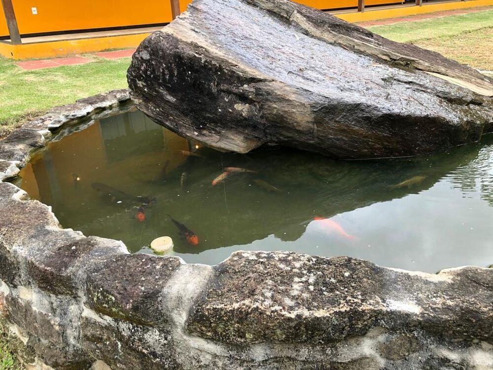 Sítio, 3 quartos - Foto 5