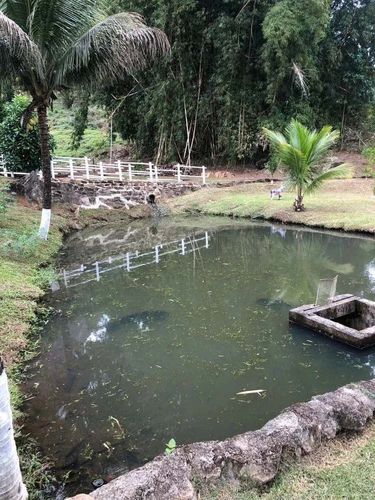 Sítio, 3 quartos - Foto 3