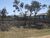 Terreno, 600 m² - Foto 3