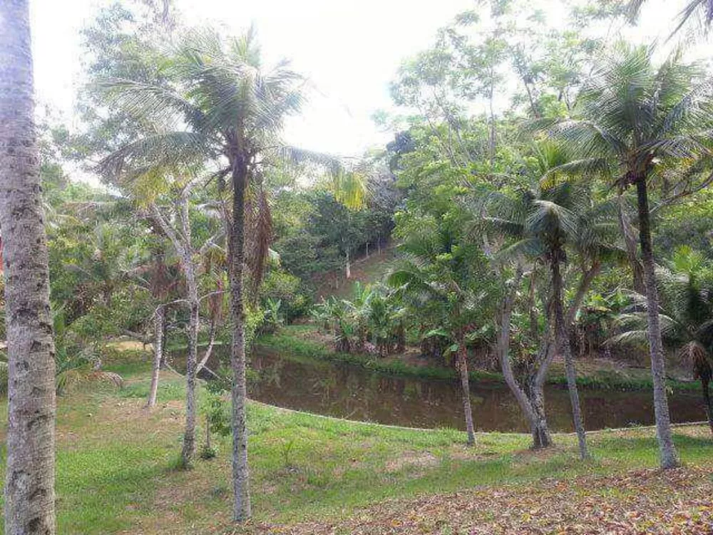 Sítio, 3 quartos - Foto 5