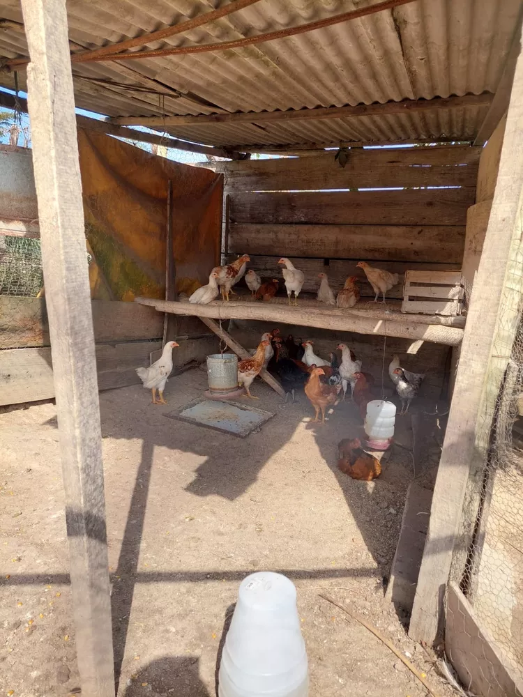 Sítio, 4 quartos - Foto 22