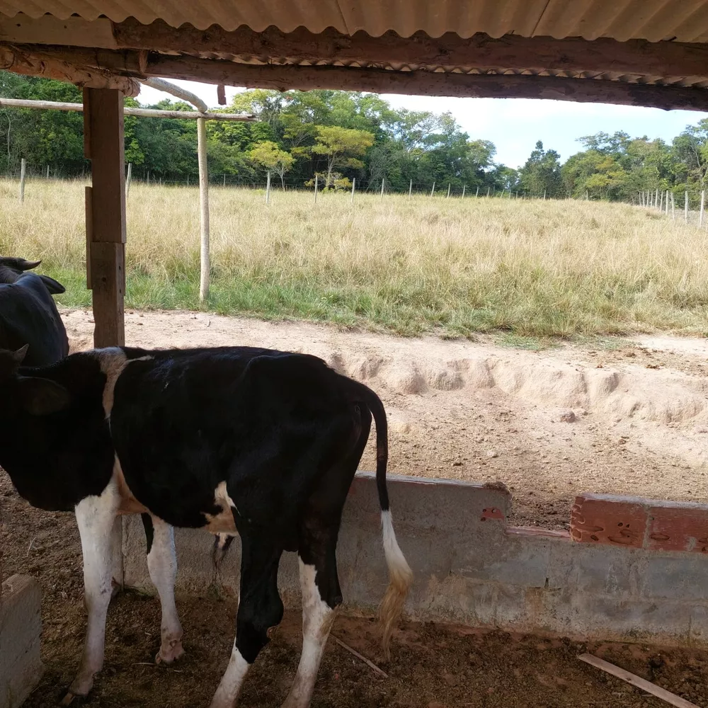 Sítio, 4 quartos - Foto 76
