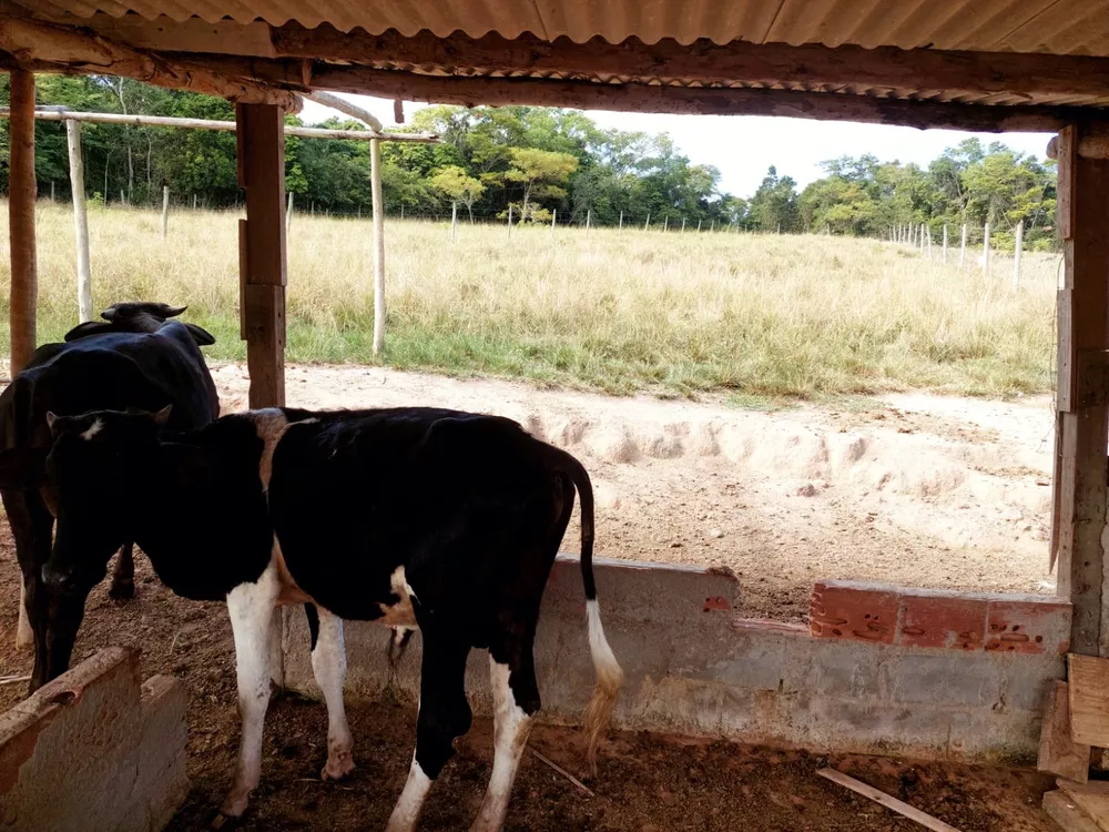 Sítio, 4 quartos - Foto 75