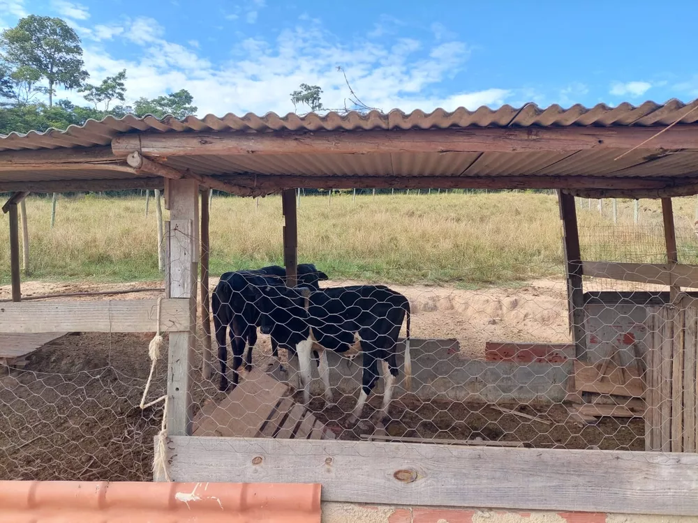 Sítio, 4 quartos - Foto 67