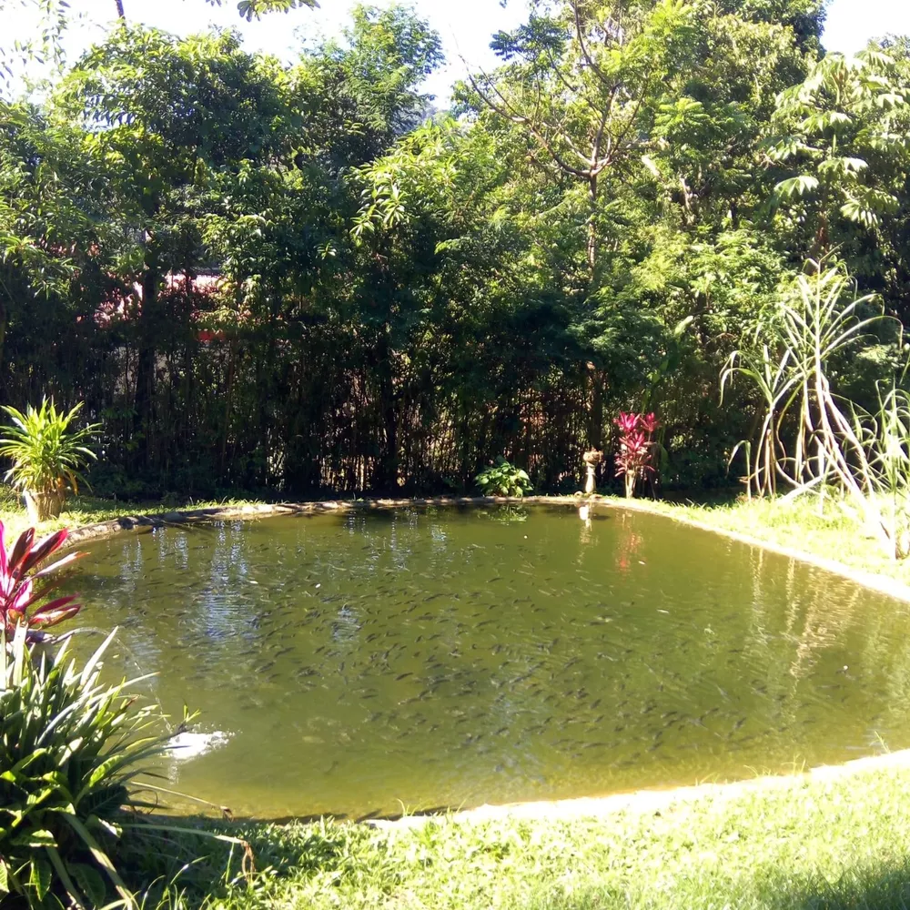 Sítio, 7 quartos - Foto 40