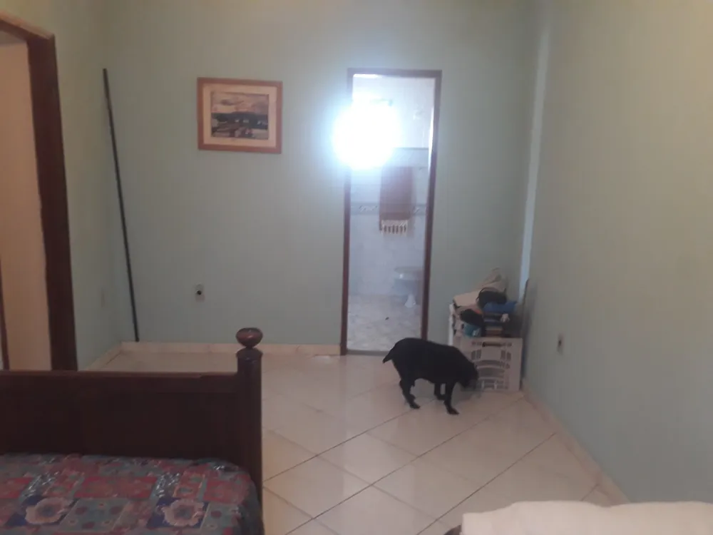 Casa, 3 quartos - Foto 41