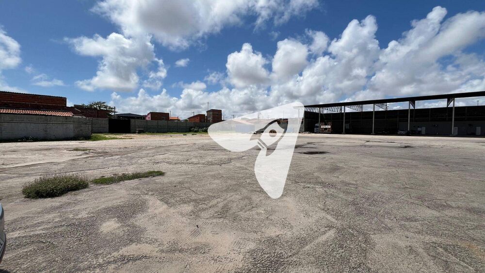 Terreno, 8000 m² - Foto 4