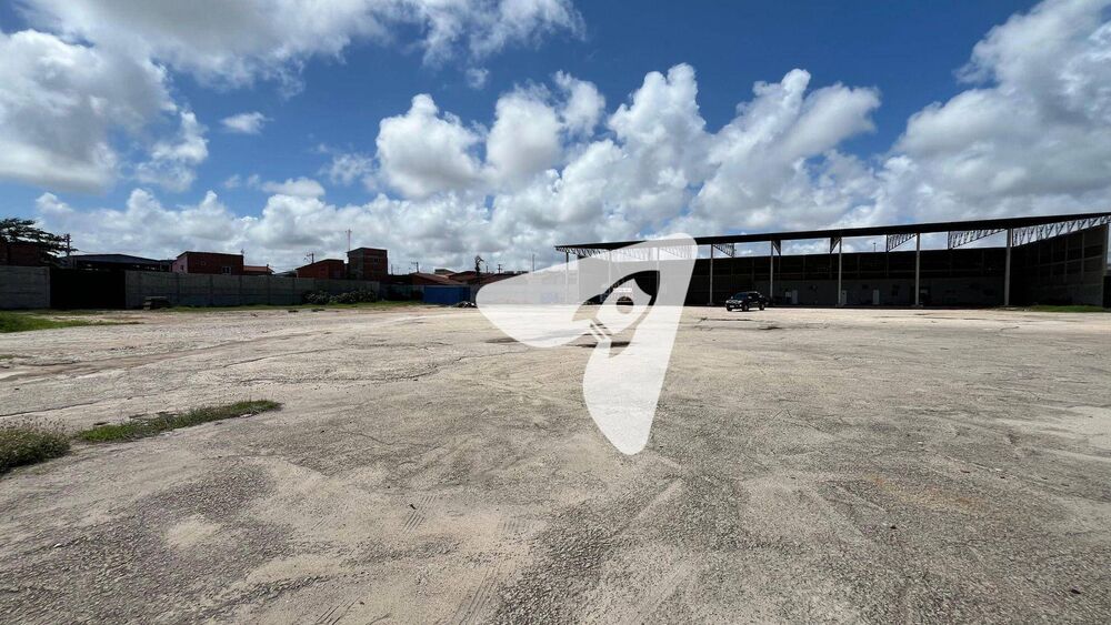Terreno, 8000 m² - Foto 3