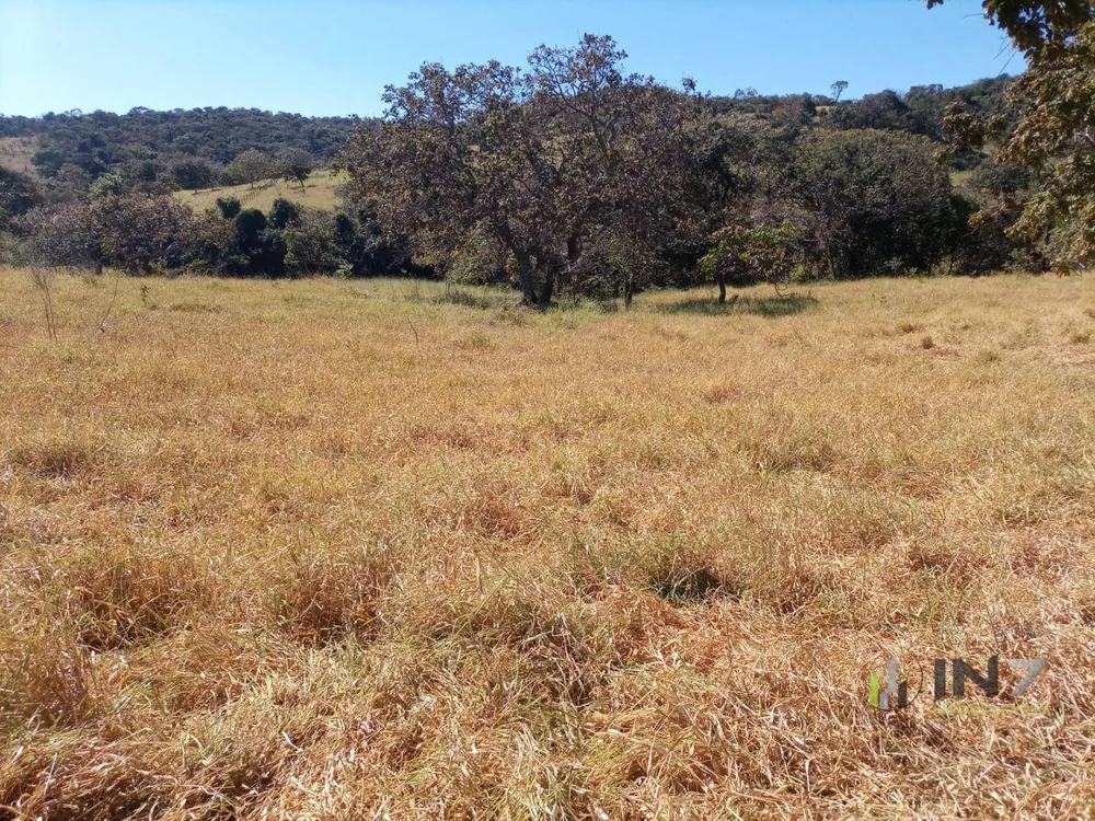 Fazenda, 30 hectares - Foto 1
