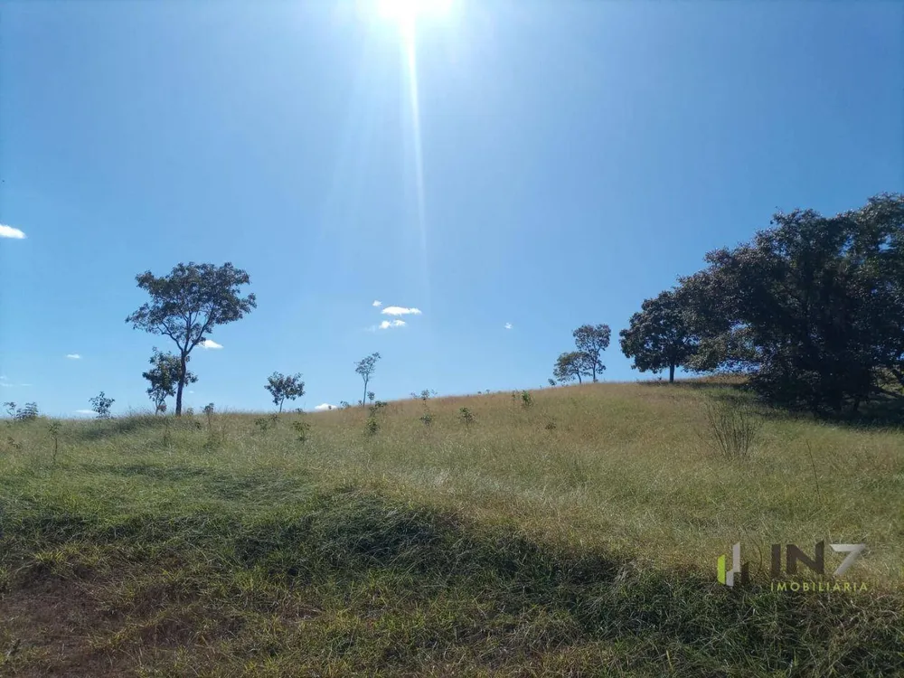 Fazenda, 30 hectares - Foto 3