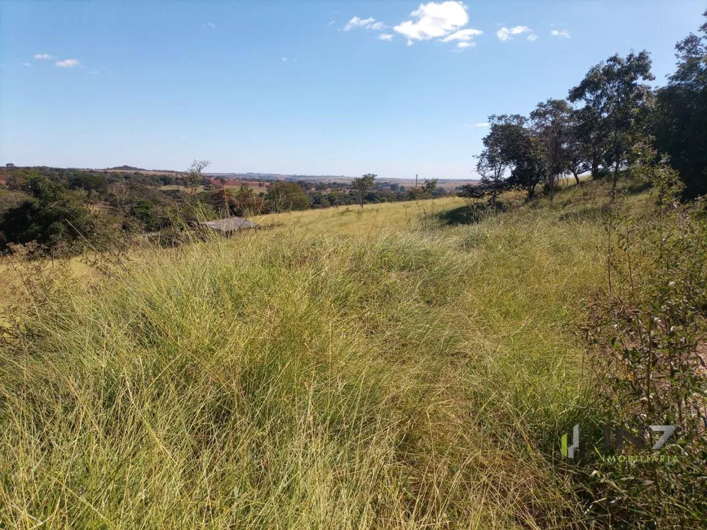Fazenda, 30 hectares - Foto 4